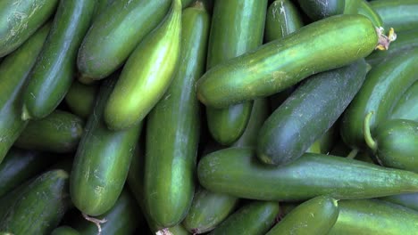 fresh-green-cucumber-many-close-up-from-top-angle