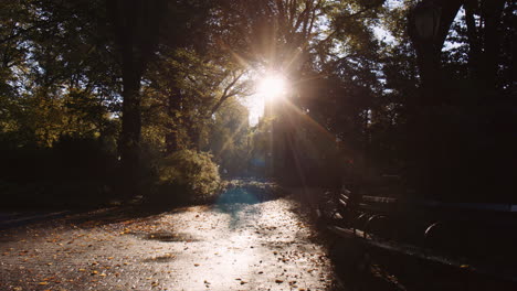 Morgensonne-Durch-Bäume-Im-Central-Park-New-York-City,-Ruhiger,-Schöner-Sonnenaufgangsmoment-Mit-Leeren-Bänken-Und-Harten-Schatten