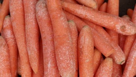Frische-Bio-Karotten-Vom-Bauernhof-Aus-Nächster-Nähe-Aus-Verschiedenen-Blickwinkeln