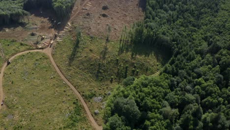 Drone-flying-high-over-logging-operation---clearcutting-deforestation