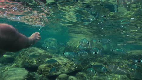 Unterwasser-Egoperspektive-Von-Mannbeinen,-Die-Im-Meerwasser-Schwimmen