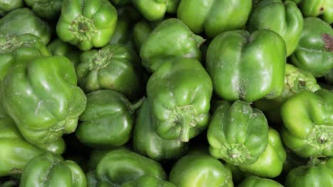 fresh-organic-green-capsicum-from-farm-close-up-from-different-angle