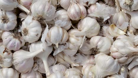 fresh-organic-garlic-from-farm-close-up-from-different-angle