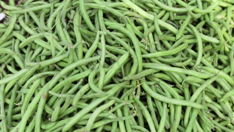 fresh-organic-green-beans-from-farm-close-up-from-different-angle