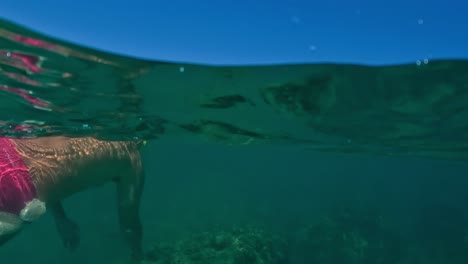 Geteilte-Unterwasseransicht-Des-Mannes-Mit-Maske-Und-Schnorchel-Beim-Angeln-Von-Schwertmuscheln-Im-Meerwasser