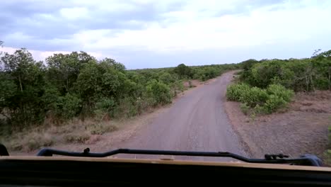 POV-shot-from-a-4x4-safari-vehicle-driving-along-the-dirt-track-in-Ol-Pejeta,-Kenya