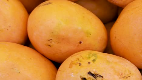 fresh-organic-testy-mangoes-from-farm-close-up-from-different-angle