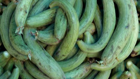 fresh-organic-sponge-gourd-from-farm-close-up-from-different-angle