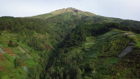 Tiro-De-Dron-De-Montaña-Tropical-Con-Hermosa-Plantación-En-La-Ladera---Montaña-Sumbing,-Indonesia