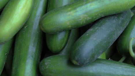 fresh-green-cucumber-many-close-up-from-top-angle