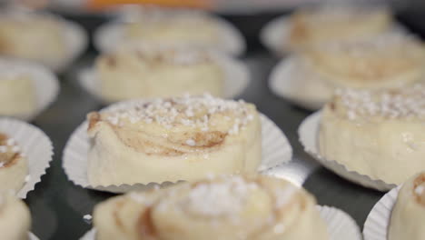 Close-up-slow-slide-over-a-tray-with-unbaked-cinnamon-buns