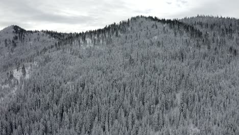 Drone-flying-over-snow-covered-forest-mountain-trees-winter-wonderland