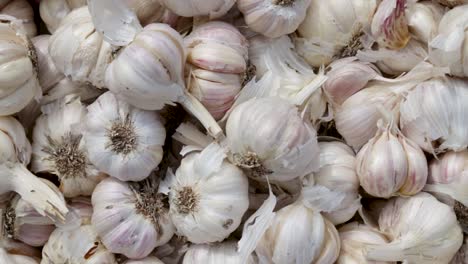 fresh-organic-garlic-from-farm-close-up-from-different-angle