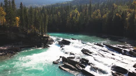 pan-left-aerial-zoom-in-shot-of-Rearguard-Falls-drone-flying-around-trees-towards-the-waterfalls-on-a-sunny-day-in-autumn-in-a-forest-environment-and-the-fraser-river