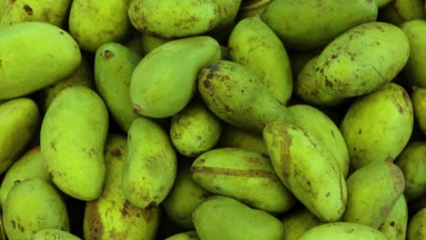 fresh-organic-unripe-mangoes-from-farm-close-up-from-different-angle