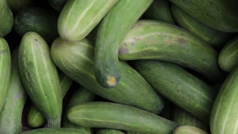 fresh-organic-cucumber-from-farm-close-up-from-different-angle