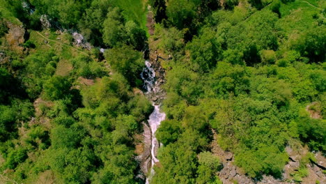 Aerial-drone-bird's-eye-view-of-fast-moving-river-with-rapids-surrounded-by-pine-forest-in-Norway-on-a-bright-sunny-day