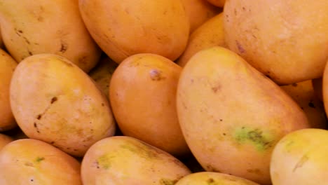 fresh-organic-testy-mangoes-from-farm-close-up-from-different-angle