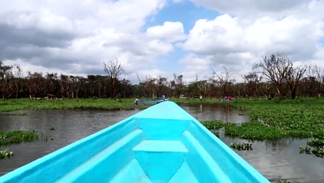 Panning-shot-of-a-blue-fiberglass-boat-navigating-through-the-swamp-land-at-Lake-Naivasha