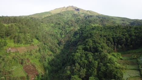 Drone-video-of-tropical-rain-forest-on-the-slope-of-mountain---Rural-landscape