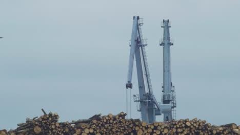 Distant-port-cranes-on-a-overcast-day,-Port-of-Liepaja-,-cut-wood-stacks-in-the-foreground,-medium-shot