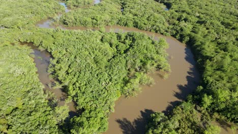 Riparian-forest-on-the-banks-of-the-Tibagi-River,-Paraná-state,-Brazil,-aerial-view