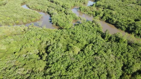 Aerial-view-of-the-Tibagi-River-in-Paraná-State,-Brazil