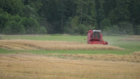 Rote-Traktorerntemaschine,-Die-Im-Konzept-Der-Ernährungskriseninflation-Im-Kornweizen-biofeld-Arbeitet