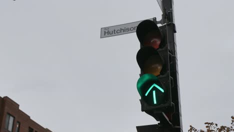 Traffic-Light-With-Green-Arrow-Up-Against-Dramatic-Sky