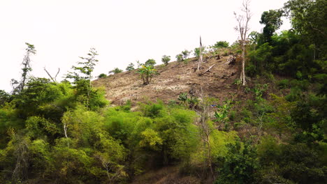 Plot-of-hill-land-cleared-for-agricultural-purposes,-Vietnam
