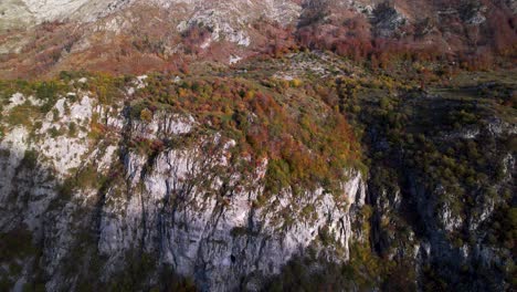 Ranges-of-Albanian-Alps-with-colorful-trees-and-meadows-covering-rocky-slope