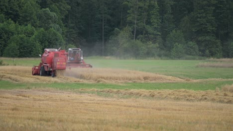 Zwei-Rote-Traktorpaare,-Die-Als-Team-Auf-Einem-Bio-Weizenfeld-Des-Bauernhofs-Zusammenarbeiten