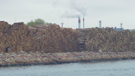 Large-pile-of-saw-logs-at-dry-cargo-terminal-at-Port-of-Liepaja-overcast-day,-wide-shot-over-the-port-channel