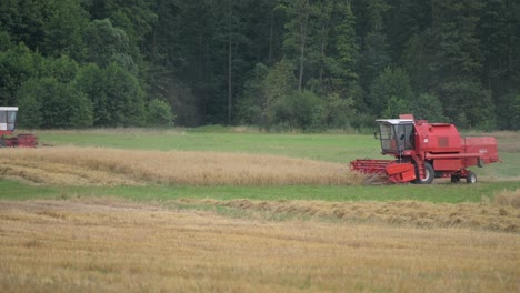 two-red-harvesting-tractor-machine-working-in-organic-farm-field