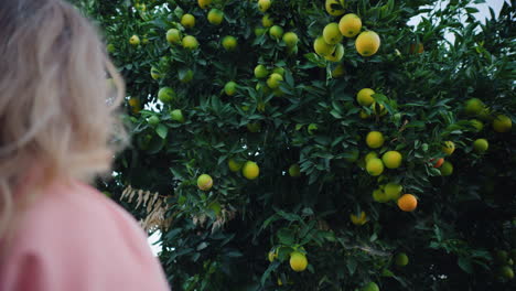 Blonde-Woman-Admiring-Oranges-Growing-on-Orange-Tree-in-Backyard