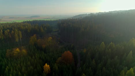 Bewaldete-Hügellandschaft-Bei-Sonnenuntergang