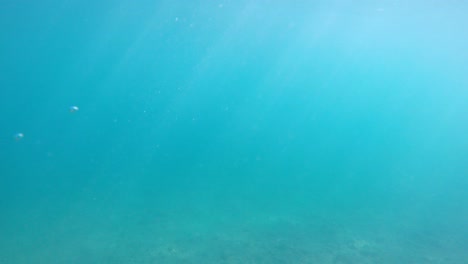 Nahaufnahme-Von-Kleinen-Abgestreiften-Wenigen-Fischen,-Die-Durch-Unterwasserfelsen-Mit-Algen--Und-Sonnenlichtreflexionen-Schwimmen