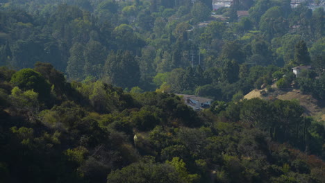 Stationary-shot-of-tree-covered-hill-side-in-Hollywood-Hills-Southern-California
