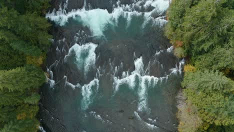 Aerial-shot-of-River-Rapids-Slowing-Rising-to-Reveal-Forest