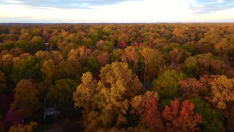 Aerial-Fall-colors-over-neighborhood-in-Winston-Salem-nc