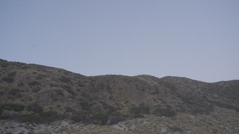 Panoramaaufnahme-Eines-Baumgefleckten-Hügels-Mit-Einem-Hellblauen,-Wolkenlosen-Himmel-Am-Strand-Von-Mondo-In-Südkalifornien