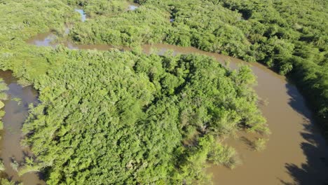Überschwemmte-Wälder-An-Den-Ufern-Des-Tibagi-Flusses-Im-Süden-Brasiliens,-Von-Einer-Drohne-Aus-Gesehen