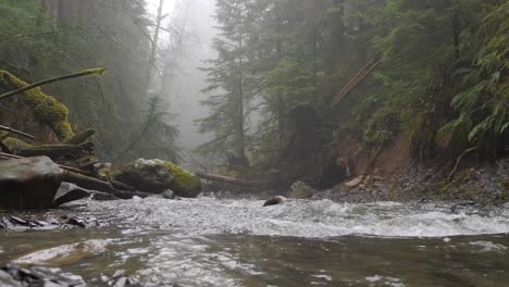 Slow-Motion-River-in-Foggy-Pacific-Northwest-Forest