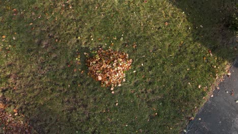 Bird's-eye-rotation-over-a-pile-of-leaves-in-Autumn