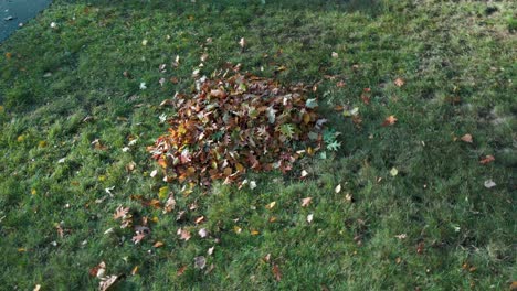 Spin-and-Rise-over-a-pile-of-leaves-in-late-Autumn