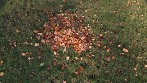 A-low-drone-spin-around-a-collected-pile-of-leaves