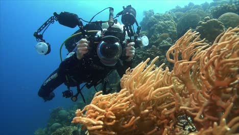 Underwater-photographer-takes-pictures-of-soft-corals-on-tropical-coral-reef