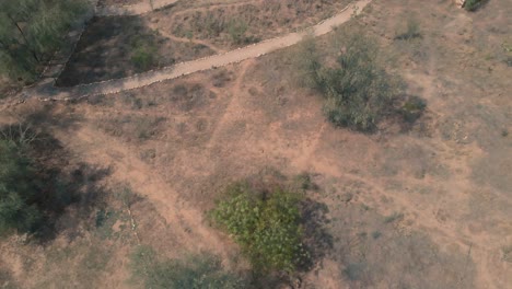 Sariska-Nationalpark-In-Indien,-Villen,-Grüne-Bäume,-Drohnenfilmaufnahme-4k