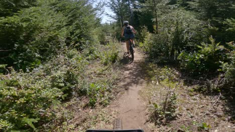Mountain-biker-riding-on-beautiful-single-track-trails-in-the-pacific-northwest-with-woman-mountain-biking-in-front