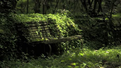 Bench-in-green-garden-park-nature-concept,-safe-earth,-green-planet